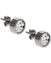 Load image into Gallery viewer, Men&#39;s Stainless Steel Round Stone Stud Earrings